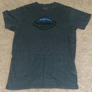 Patagonia tee